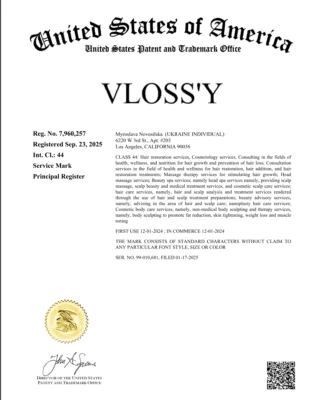 uspto trademark registration Vloss'y